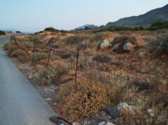 Καταδίωξη τα ξημερώματα της Κυριακής στα Ακούμια – Οδηγός αρνήθηκε έλεγχο από θηροφύλακες