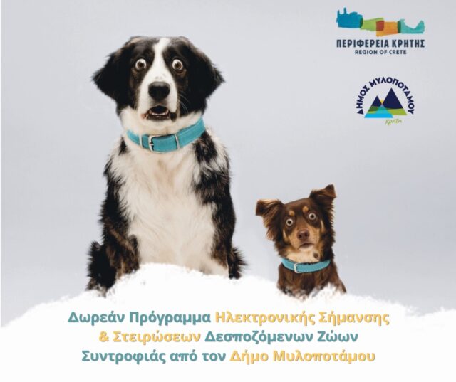 ζώα στειρωση