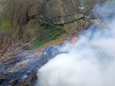 Πρόστιμο για καύση βοσκότοπου στην Παντάνασσα Αμαρίου