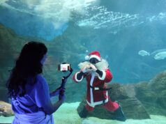 Χριστουγεννιάτικη ξενάγηση από την Περιφέρεια Κρήτης στο Ενυδρείο Κρήτης για παιδιά που νοσηλεύονται