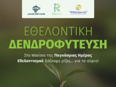 Εθελοντική δενδροφύτευση για τη Διεθνή Ημέρα Εθελοντισμού οργανώνει ο Δήμος Ρεθύμνης