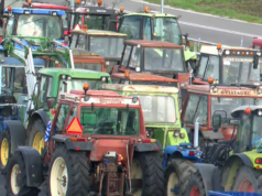 Κλιμακώνουν τις κινητοποιήσεις αγρότες και κτηνοτρόφοι!