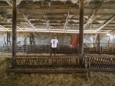 Ευλογιά των αιγοπροβάτων: «Η Ελλάδα προτίμησε τις μαζικές θανατώσεις έναντι του εμβολίου!»