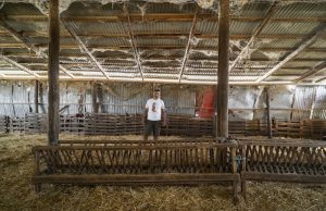 Ευλογιά των αιγοπροβάτων: «Η Ελλάδα προτίμησε τις μαζικές θανατώσεις έναντι του εμβολίου!»