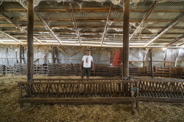 Ευλογιά των αιγοπροβάτων: «Η Ελλάδα προτίμησε τις μαζικές θανατώσεις έναντι του εμβολίου!»