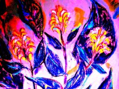 «Κρατιέμαι από ένα λουλούδι»: Έκθεση ζωγραφικής του Ρεθυμνιώτη Αιμίλιου Γάσπαρη