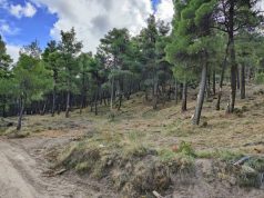 Ολοκληρώθηκε η δημιουργία «στεγασμένων» αντιπυρικών ζωνών σε οικισμούς του Δήμου Ρεθύμνης