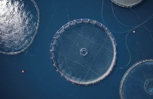 Θαλάσσια υδατοκαλλιέργεια και κλιματική αλλαγή: Τι σημαίνει για τους καταναλωτές