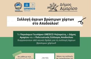 Δράση συλλογής άγριων βρώσιμων χόρτων στο Αποδούλου του Δήμου Αμαρίου
