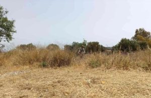 Δήμος Ρεθύμνης: Υποχρεωτικός ο καθαρισμός οικοπέδων έως 15 Ιουνίου – Τι ισχύει για την αντιπυρική περίοδο 2026